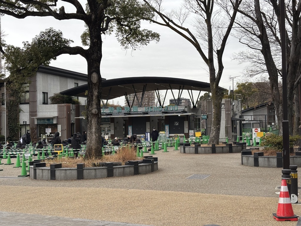 Morning walk through Ueno Park
