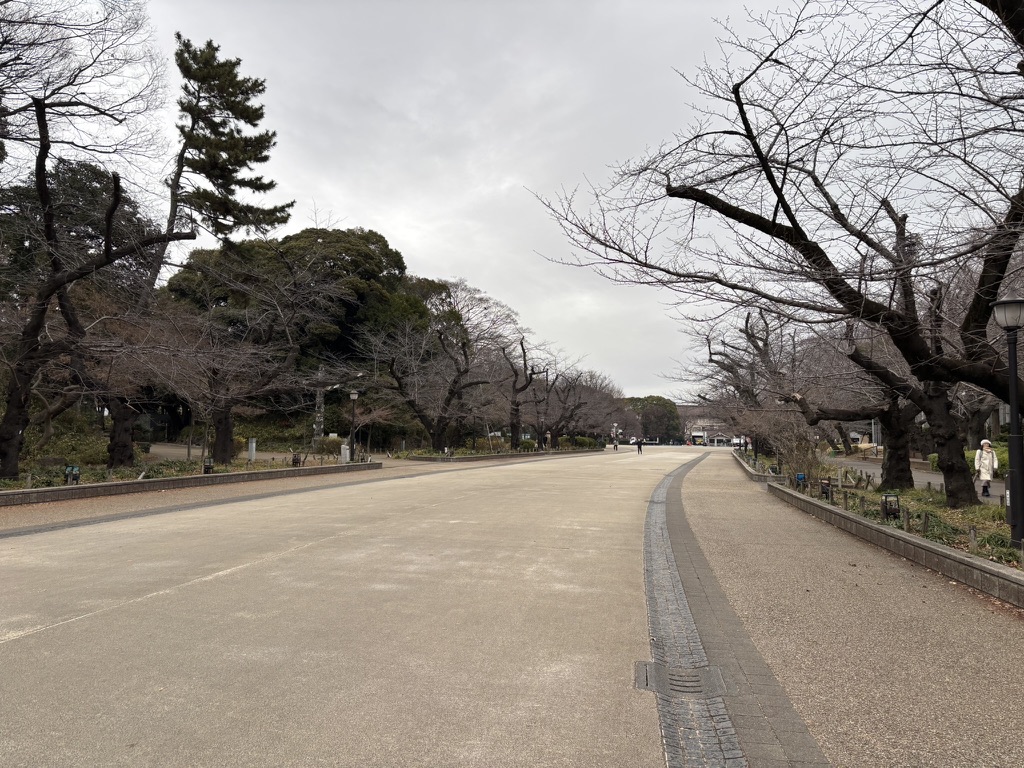 Empty Ueno Park plaza at 8:45 AM
