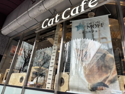 Cat cafe near Yodobashi-Akiba