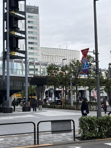 Yodobashi-Akiba from a distance