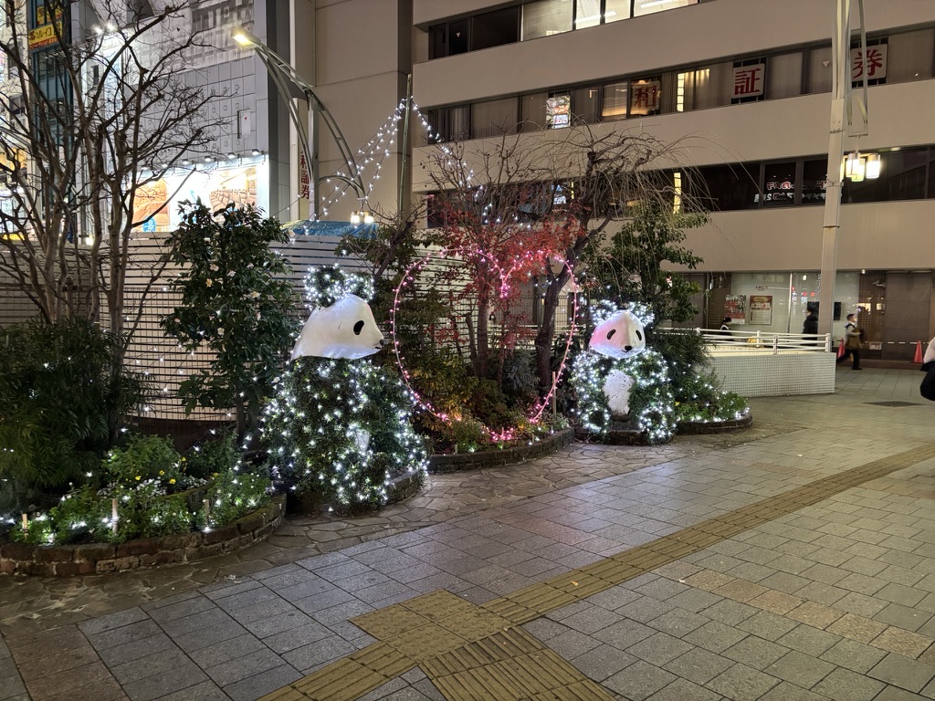 Light display near the hotel